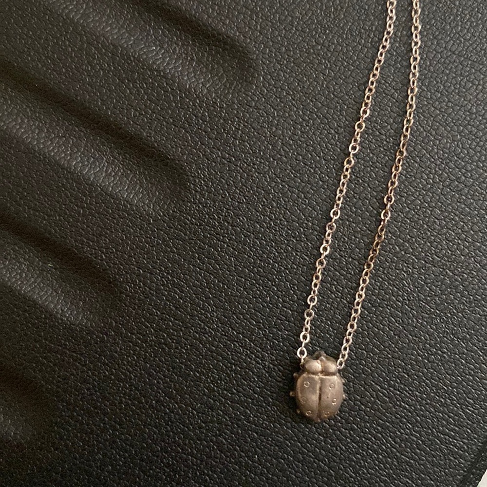 Kids ladybug pendant and chain